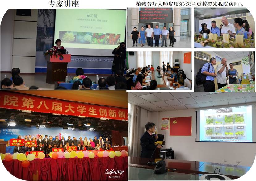 其他活动-1